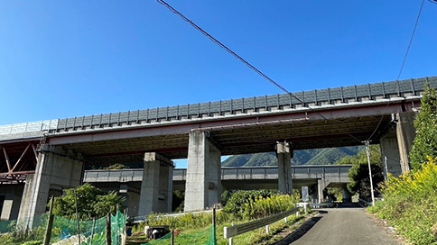 中野橋（下り線・左ルート）の橋梁全景